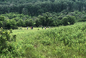 Pipestone Creek Bioblitz (Photo by NCC)