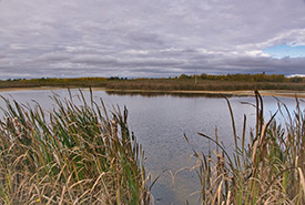 Pond at Nebo (Photo by Bill Armstrong)