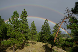Double rainbow over Cherry Meadows, BC (Photo by Walter Latter)