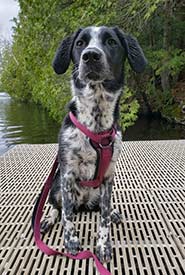 Hiking on a rainy day with Winona (Photo by Samantha Cava)