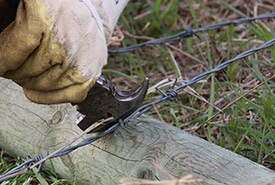 Removing old fence at Red Deer Connop Bragg Creek, AB (Photo by NCC)