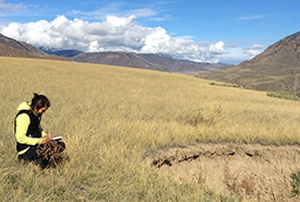 Sheena Briggs examining the impacts of grazing on fragile interior grasslands in 2017 (Photo by NCC) 