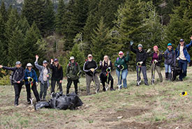 Conservation Volunteers at the Crowsnest Pass weed pull event (Photo by David Thomas)