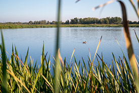 Milieu humides, Lac Wakomao, Alb. (Photo de CNC)