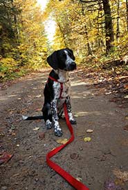 Winona's first hike (Photo by Samanta Cava)