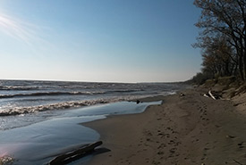 A beautiful, sandy shoreline at Long Point. One of the many wonderful places I got to explore during my work with NCC (Photo by NCC)