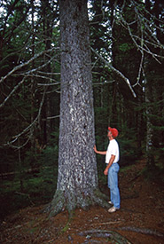 Peter Neily et Big Red en 1996, Abraham Lake, N.-È. (Photo reproduite avec sa permission)