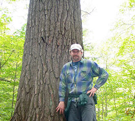 Dan Kraus with a big old-growth white pine in Algonquin Park, Ontario. (Photo by Dan Kraus/ NCC staff)