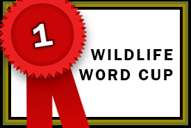 Wildlife World Cup champion (made by NCC)