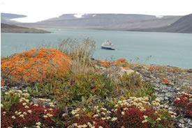 Dundas Harbour (Photo by Carolyn Mallory)