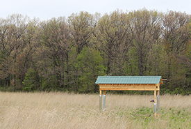The 2014 artificial nesting structure design equipped with cross bars and nesting cups, privacy barriers, metal barriers to protect from mammalian predators.  (Photo by Carolyn Zanchetta)