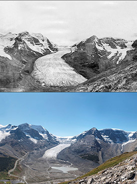 Climate change has caused dramatic changes in the Athabasca Glacier in Jasper National Park, Alberta  (top: 1917, photo by A.O. Wheeler; bottom: 2011, photo by The Mountain Legacy Project).Photos courtesy of The Mountain Legacy Project (CC BY-NC 4.0) and partners at Library and Archives Canada / Bibliothèque et Archives Canada.