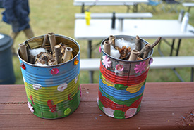Bee hotels (Photo by NCC) 