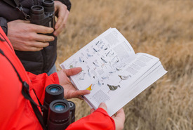 Birders with guide at Fairy Hill, SK (Photo by Carey Shaw)