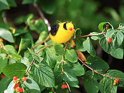 Felted American golfinch (Photo by NCC)