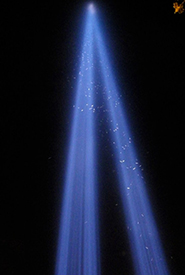 Birds trapped in two columns of light (Photo by Brian Tofte-Schumacher via Wikimedia Commons)