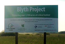 Blyth property sign at the entrance (Photo by Emily Schulte/NCC staff)