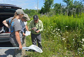 Bob Bowles and Ken and Karlene Tuininga use a field guide to identify butterfly species (Photo by NCC)