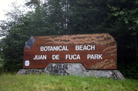 Botanical Beach, BC (Photo by eh Canada Travel & Adventure)