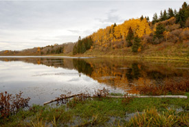 Bow River Watershed (Photo by Steven Ross/NCC)