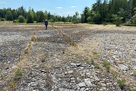 A particularly exposed section of the Camden East Alvar, an NCC property just west of Kingston, Ontario. (Photo by NCC)