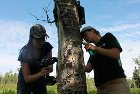 Camera traps being set up. (Photo by NCC)