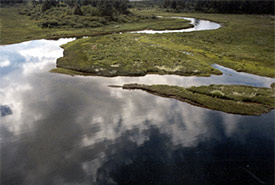 Campbell River Estuary, BC (Photo by NCC)