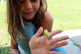 Camper with clouded sulphur butterfly (Photo by NCC)