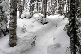 Walking through a winter wonderland (Photo by Canadian Voyageurs)