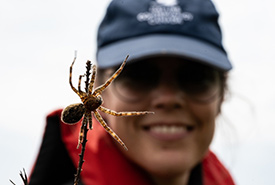 NCC’s Carolyn Davies with a dock spider. (Photo by Andrea Moreau/NCC staff)