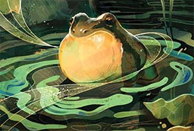 Illustration of western chorus frog (Illustration by Mathias Ball)