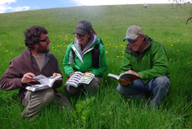 Conservation Interns at Waterton Park Front, AB (Photo by NCC)