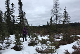 Crossing bogs in Algonquin Park to study Canada jays (Photo by Sam Knight/NCC staff)