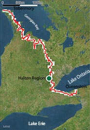 Map of the Bruce Trail (Screen capture from the Bruce Trail App)