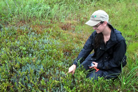 Danielle Horne in the field (Photo by NCC)