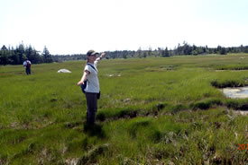 Danielle Horne in the field (Photo by NCC)