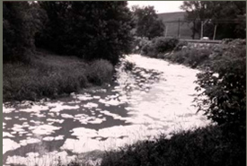 Pollution on the surface of  the Don River in June 1962 (Photo from Toronto Port Authority Archives) 