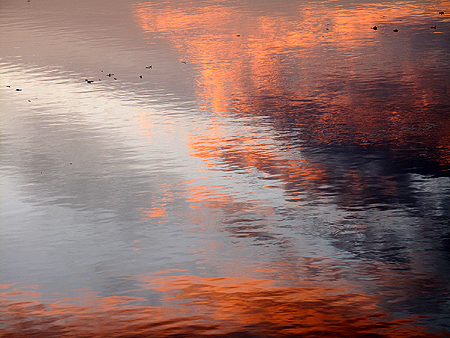 Early morning sun on water (Photo by Doug Van Hemessen/NCC staff)