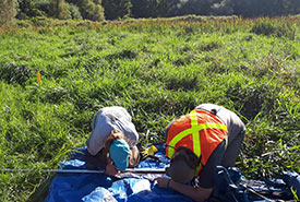 A day in the field at the Long Point Biosphere Reserve (Photo by Amanda Loder)