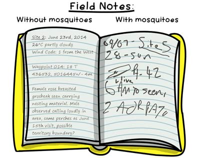 The difference between taking notes in areas without and with bugs (Illustration by Liv Monck-Whipp/Tails from the Field)
