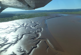 Flying over the vast mudflats at Johnson’s Mills, NB (Photo by NCC)