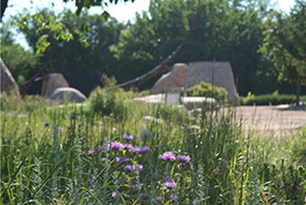 The Forks Prairie Garden, MB. (Photo by NCC)