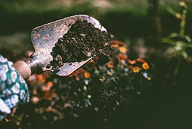 Gardening is a great way to connect with nature (Photo by Lisa via Pexels)