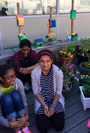 Grade 7 students at the Bee School's garden, filled with plants and DIY bee houses. (Photo courtesy Bee City Canada) 