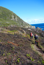 Approaching Cape Broyle, one of the East Coast Trail’s toughest trails (Photo by Lanna Campbell/NCC)