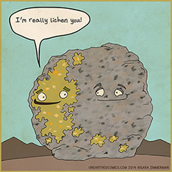 I'm really lichen you (Graphic by Unearthed Comics, Sara Zimmerman)