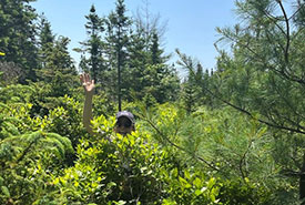 Jill Ramsay empêtrée dans la végétation à l'un des sites de CNC dans la région de Port Joli, N.-É. (Photo de CNC)