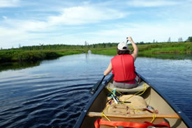 Kejimkujik National Park and Historic Site, NS (Photo by D. Beevis)