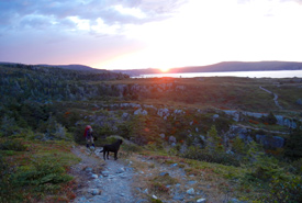 Approaching the Bay Bulls lighthouse with the last of the daylight (Photo by Lanna Campbell/NCC)