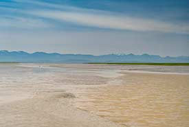 Low tide at Swishwash Island, BC. (Photo by Fernando Lessa)